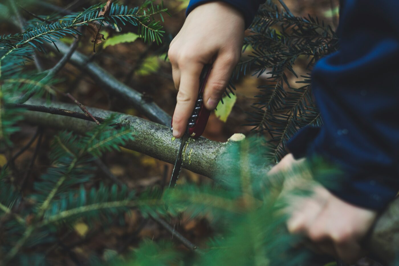 Field survival skills
